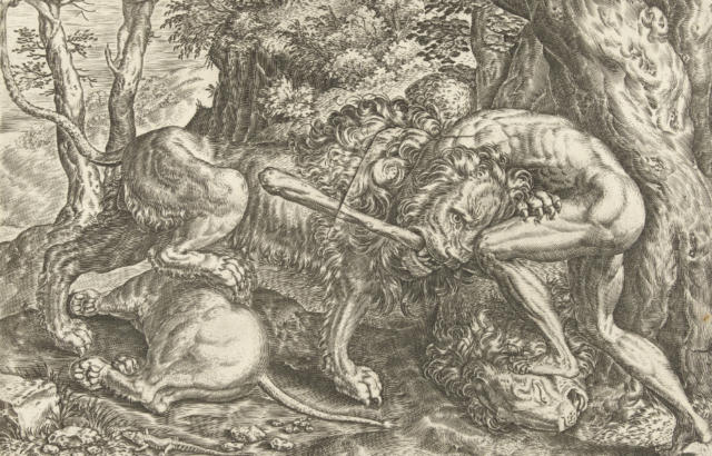1563 engraving of Hercules and the Nemean Lion. 