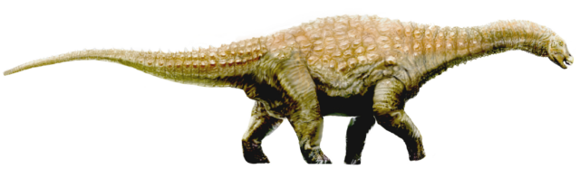 Illustration of a Diamantinasaurus walking