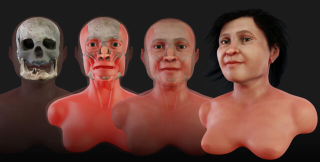 Four stages of computer rendering showing a human skull turned into a woman's head.