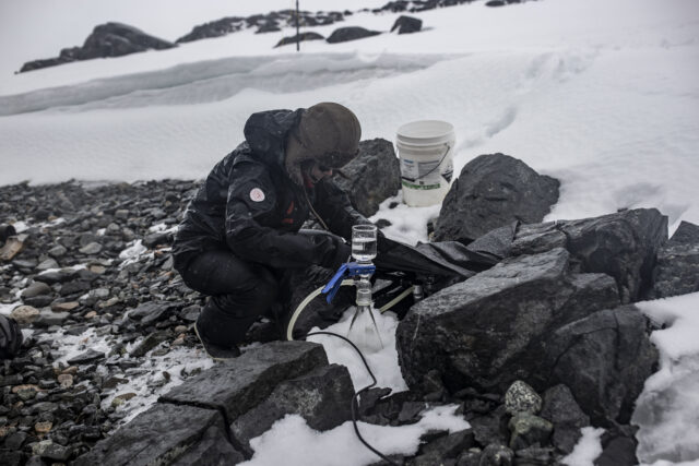 A scientist gathering soil samples from the ground in Antarctica.