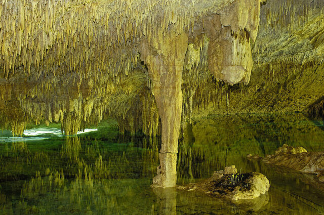 Interior of a cenote with stalactites hanging down from the ceiling and calm water. 