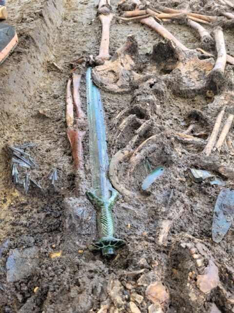 A sword buried in the ground surrounded by bones.