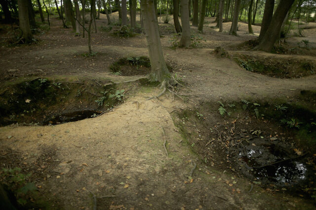 Bomb craters along the forest floor in Sanctuary Wood