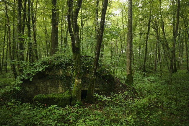 Remnants of a German bunker in the middle of Spincourt Forest