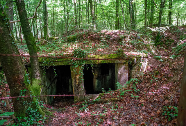 Remnants of a World War I-era German fortification in the Forest of Argonne