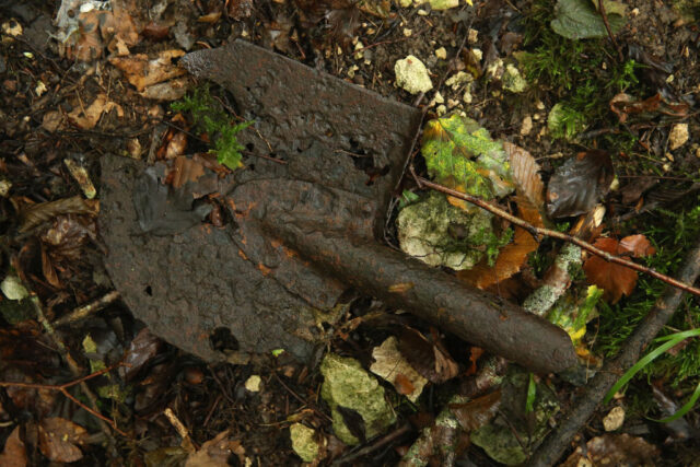 Rusty spade on the forest floor