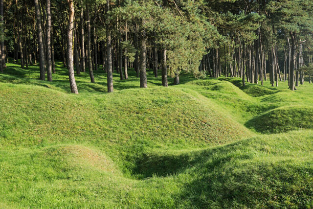 Bomb craters along the edge of a wooded area at Vimy Ridge