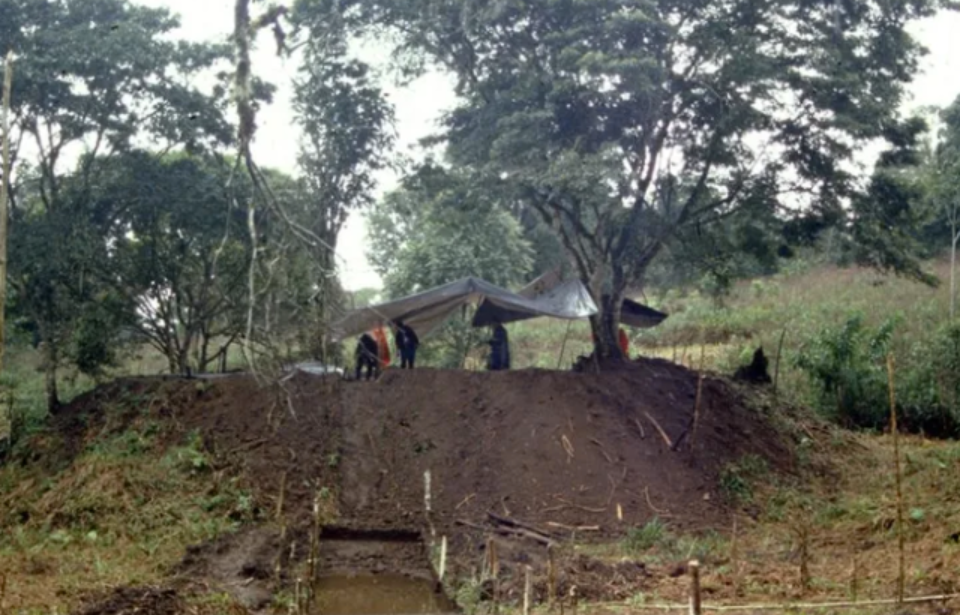 Archaeological excavation of the central platform of complex XI in Sangay. (Photo Credit: Stéphen Rostain / Materials and Methods / Science AAAS)