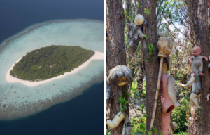 Aerial view of an island, dolls strung up to trees.