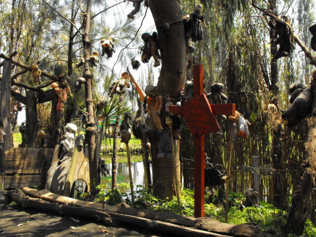 Dolls strung up to trees.
