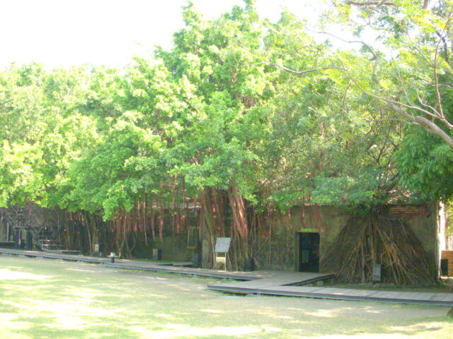 The exterior of Anping Tree House.