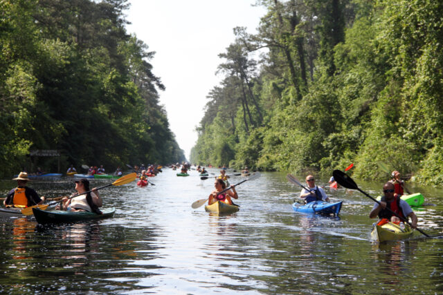 Several kayakers on a river.