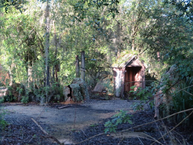 Abandoned shed in the middle of a wooded area at Disney's River Country
