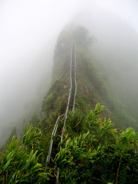 Stairs up a foggy mountain.
