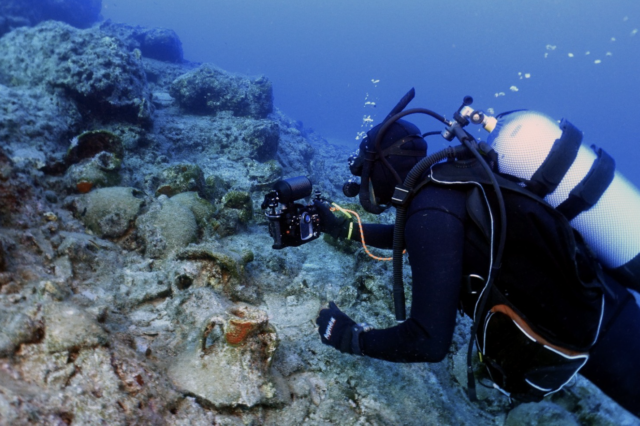 A diver studies pottery underwater.